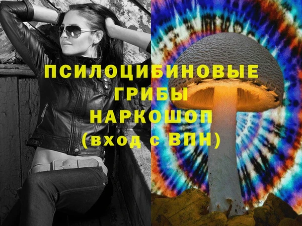 apvp Володарск