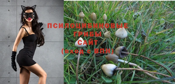 крисы Волоколамск