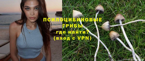 крисы Волоколамск